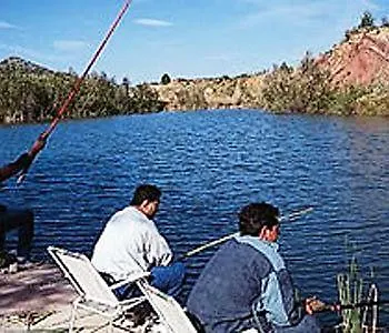 Campeggio Oasis Country Park *