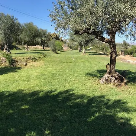 Oasis Country Park * Rugat